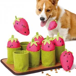 Hunde Schnüffelspiel Pink Erdbeeren-Feld