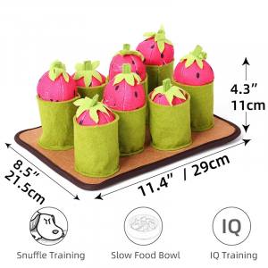 Hunde Schnüffelspiel Pink Erdbeeren-Feld