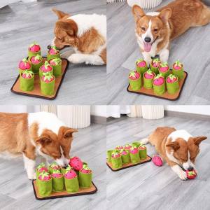 Hunde Schnüffelspiel Pink Erdbeeren-Feld