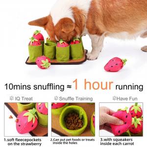 Hunde Schnüffelspiel Pink Erdbeeren-Feld
