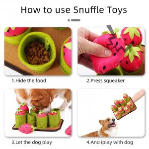 Hunde Schnüffelspiel Pink Erdbeeren-Feld