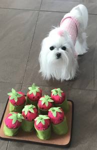 Hunde Schnüffelspiel Pink Erdbeeren-Feld