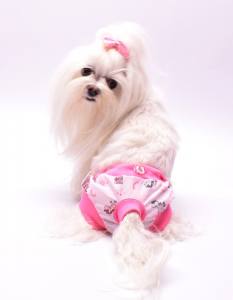 Schutzhöschen * DogsZone RAINBOW PONY *Jersey