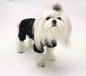 Softgeschirr * BLACK SILVER PAW  *