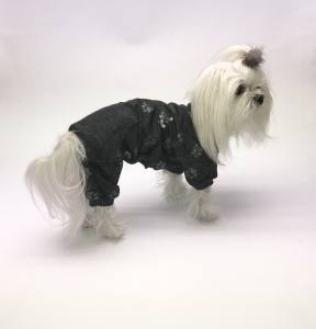 Softgeschirr * GREY SILVER PAW  *