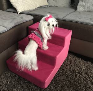 Softgeschirr * Pink & White * Dots
