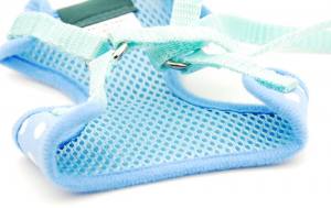 Softgeschirr SET mit Leine DOTS BLUE auch Welpen