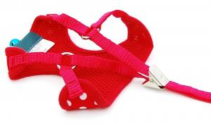 Softgeschirr SET mit Leine DOTS RED auch Welpen