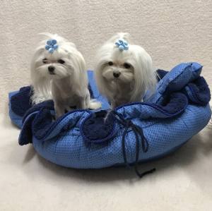 Hunde Spange *PEARL FLOWER *
