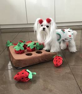 Hunde Spange PUSCHEL