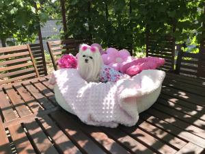 Hunde Spange PUSCHEL
