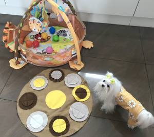 Spielpool LÖWE  mit Schnüffelteppich  für Hunde,Katzen,Welpen