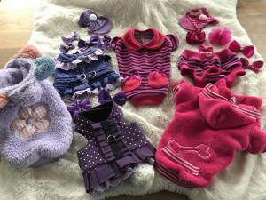 Sweatshirt für Hunde Streifen Lila-pink
