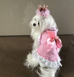 T-Shirt für Hunde AMELIE rosa mit Rüschen und Spitze