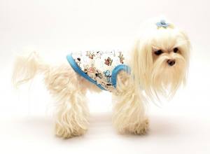 Hunde T-Shirt BLUE DOG