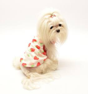Hunde T-Shirt LOVELY ERDBEERE