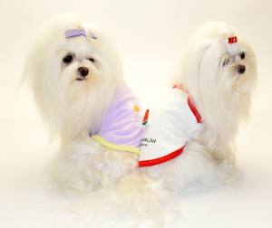 Hunde T-Shirt FLIEDER BLUME