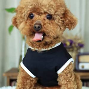 Hunde T-Shirt LOVE PAW BLACK