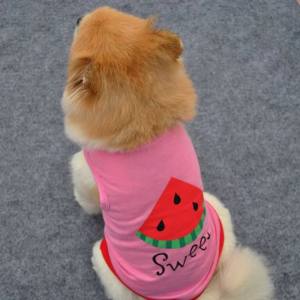 Hunde T-Shirt Rosa Melone