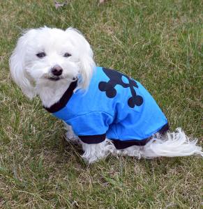 Hunde T-Shirt SKULL Restposten