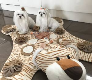 TIGER Schnüffelteppich Spielteppich für Hunde,Katzen,Welpen