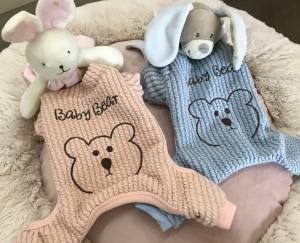 Hunde Winteranzug ,Jogginganzug Baby Bear Blue