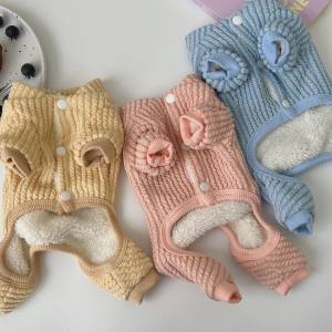 Hunde Winteranzug ,Jogginganzug Baby Bear Blue