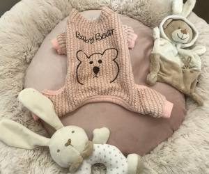 Hunde Winteranzug ,Jogginganzug Baby Bear Pink