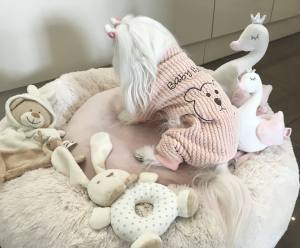 Hunde Winteranzug ,Jogginganzug Baby Bear Pink