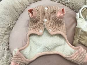 Hunde Winteranzug ,Jogginganzug Baby Bear Pink