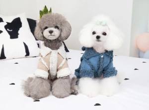 Hunde Winteranzug ,Jogginganzug „MY BLUE BABYDOG”