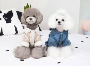 Hunde Winteranzug ,Jogginganzug „MY BLUE BABYDOG”