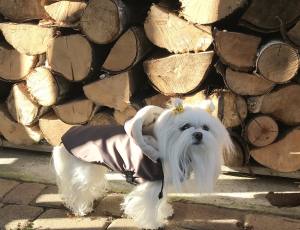 Winterjacke für Hunde AARON in braun