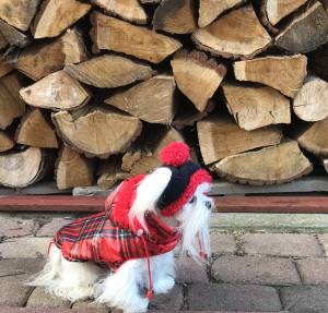 Winterjacke für Hunde ELENA in rot/kariert