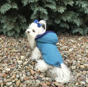 Winterjacke für Hunde EMIL in grün/blau kariert