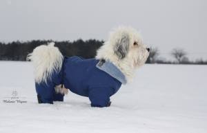 MINI PORTHOS  Wintermantel für Hunde RESTPOSTEN
