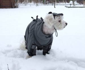 NORDPOL Wintermantel für Hunde inkl.Mütze,Schal,Geschirr für Hunde