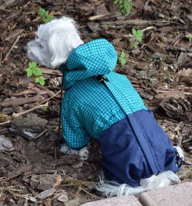 * PETER PAN * Wintermantel für Hunde mit D-Ring/Geschirr für Hunde