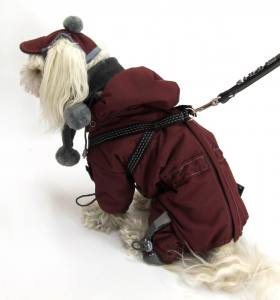 SÜDPOL Wintermantel für Hunde inkl.Mütze,Schal,Geschirr GIRLS ONLY für Hunde