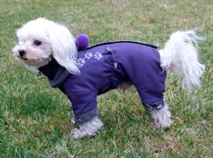 *PURPLE PAWS * HundeWintermantel Schal GIRLS ONLY mit D-Ring kurze Beine
