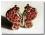 Hunde Schmuck für das Halsband``BUTTERFLY``rosa