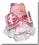 Hunde Party,Fest Kleid BEAUTY CHANTALLE