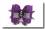 Hunde Schleife ELEGANCE PURPLE SILVER