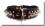 Lederhalsband BIG DOG BROWN mit Metal- Stifften - Spikes
