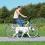 Dog Activity Fahrrad- und Joggingleine