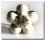 Hunde Schmuck für das Halsband``BLUME``weiss