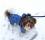 *TAMPERE *Hunde Winteranzug mit Geschirr kurze Beine RESTPOSTEN