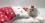 Hunde Bettdecke mit Kissen LITTLE RED HEART HANDMADE
