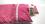 Hunde Bettdecke mit Kissen PINK DOTS