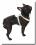 De Luxe Hunde Leder-NIETEN-Geschirr Gr.2 verstellbar 48-57cm